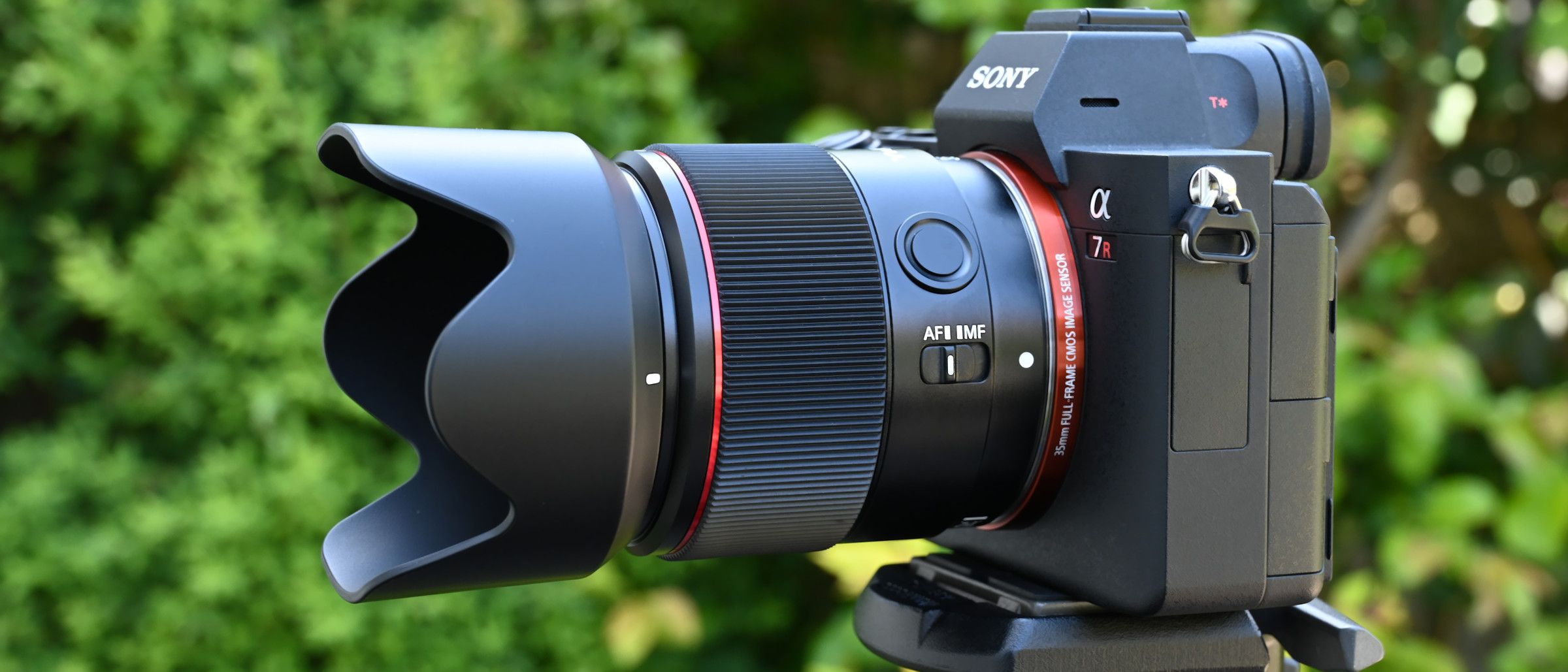 SONY α7 II + ynless YN35mm F25 DF DSM GNizLUiz5tCHMSecTSbwc6-2400-80.jpg