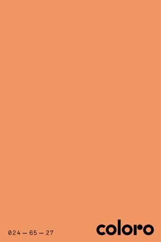 Apricot Crush_Coloro 024-65-27