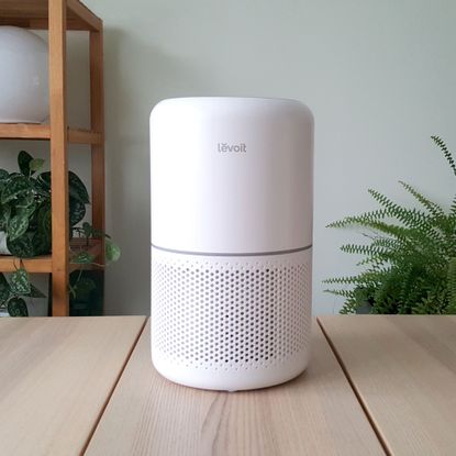 The Levoit Core 300S air purifier being tested in a room with a wooden table, green walls, and plants