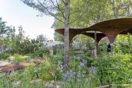 The Wateraid Garden at RHS Chelsea Flower Show 2024.