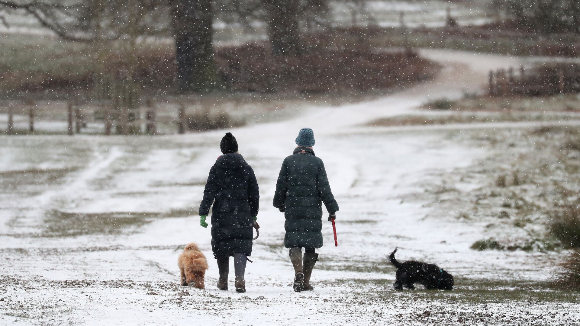 Walkers in the snow in Richmond Park on February 09, 2021 in London, England. A Met Office Weather Warning remains in place for many parts of the UK.