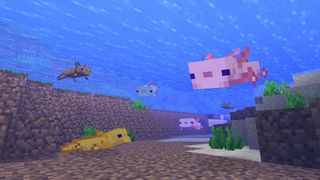 Minecraft 1.17 axolotl