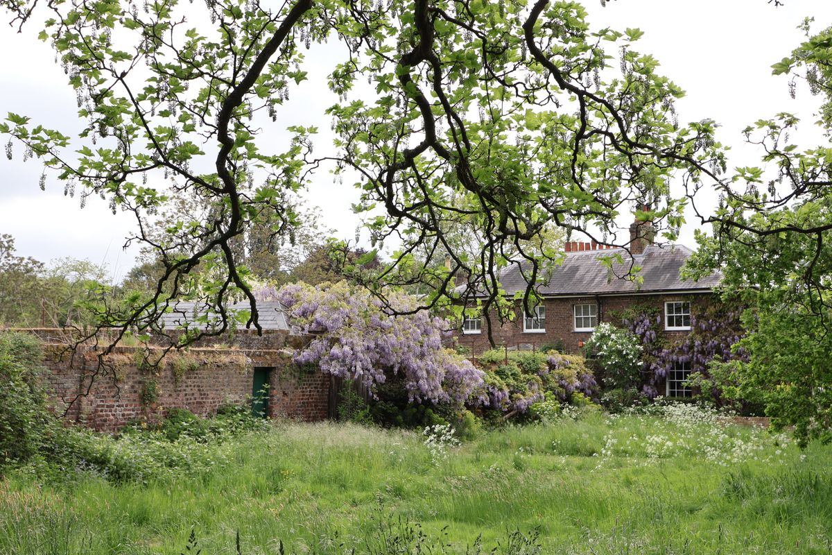 A picture of a country house with a bush growing over the wall and the leaves of a tree in the foreground, taken on the Canon EOS R50 V.