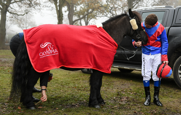 Shetland Pony Grand National_Olympia_18PN_470