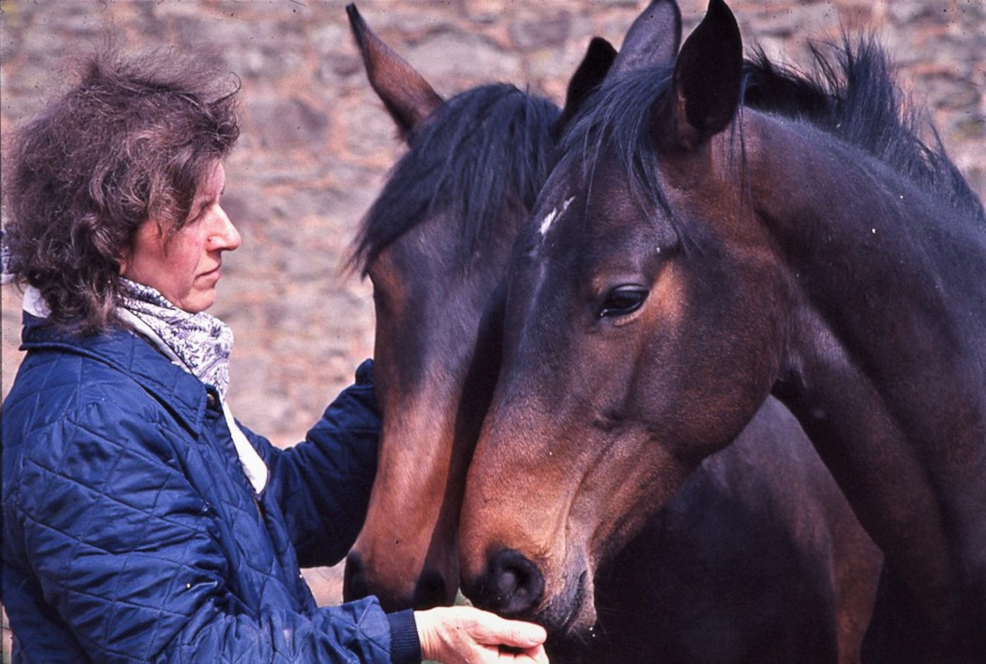 Brenda-Humphreys-2.jpg