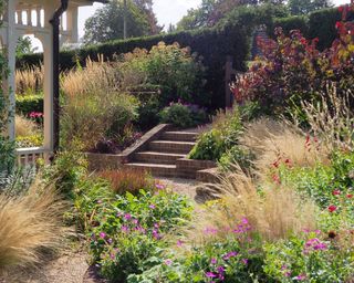 mixed planting and grasses surrounding steps in a sloping garden in a design by Ann-Marie Powell Gardens