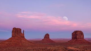 Rosy-hued desert