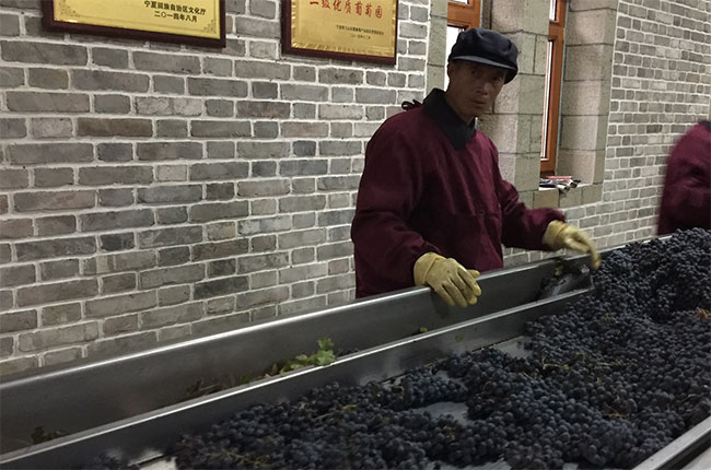 Chateau Zhihui Yuanshi, ningxia, china