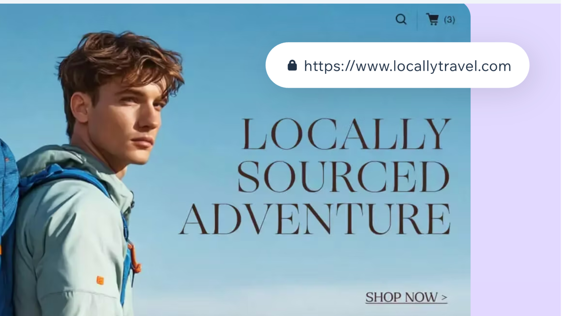 Buy a domain name with Wix