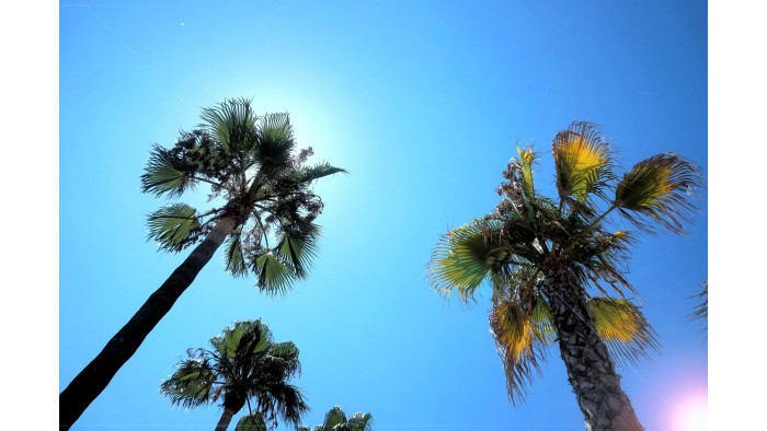 Get the sunscreen out: it&#039;s going to be twenty degrees next week, apparently