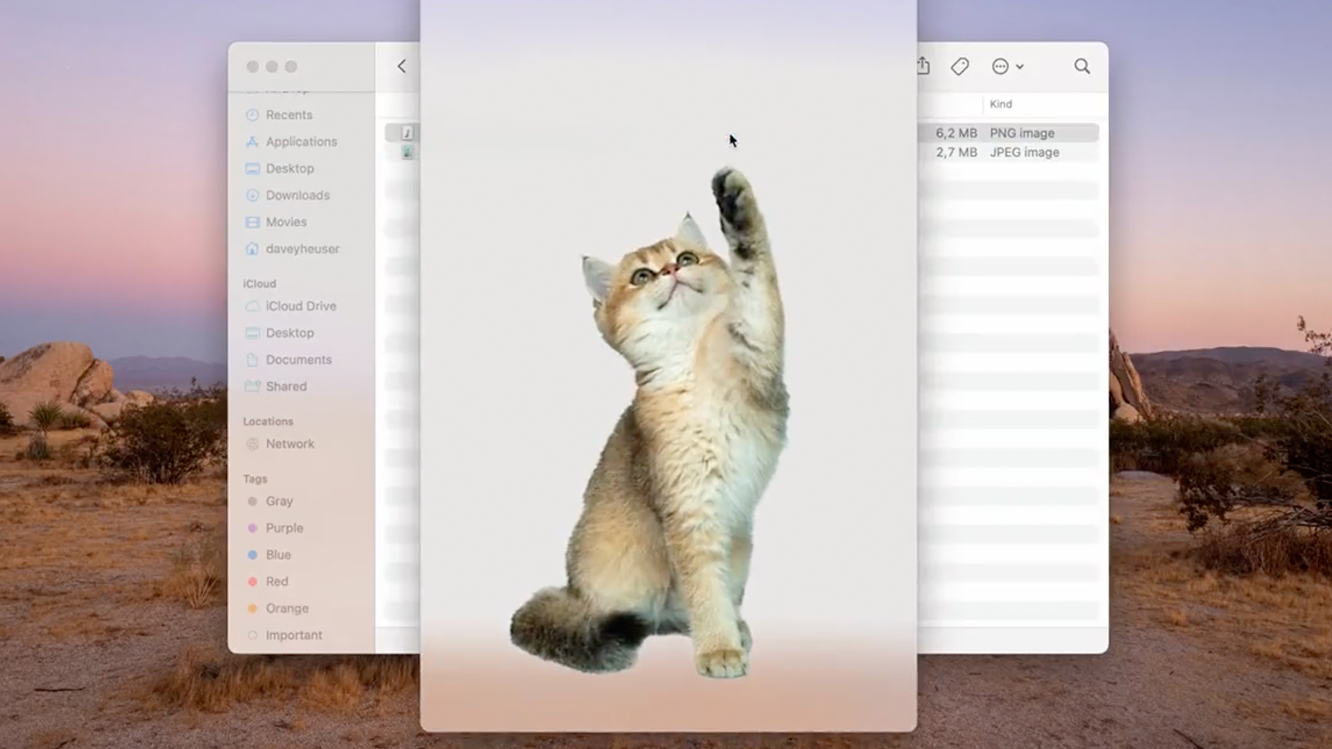 MacOS screenshot showing a cat cut out of an image
