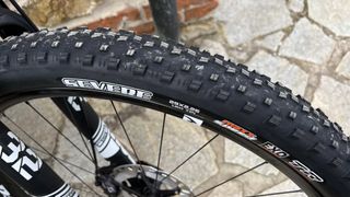 Close up of the tred on the Maxxis Severe mtb tire