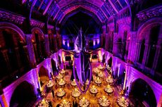 benevolent ball 2019