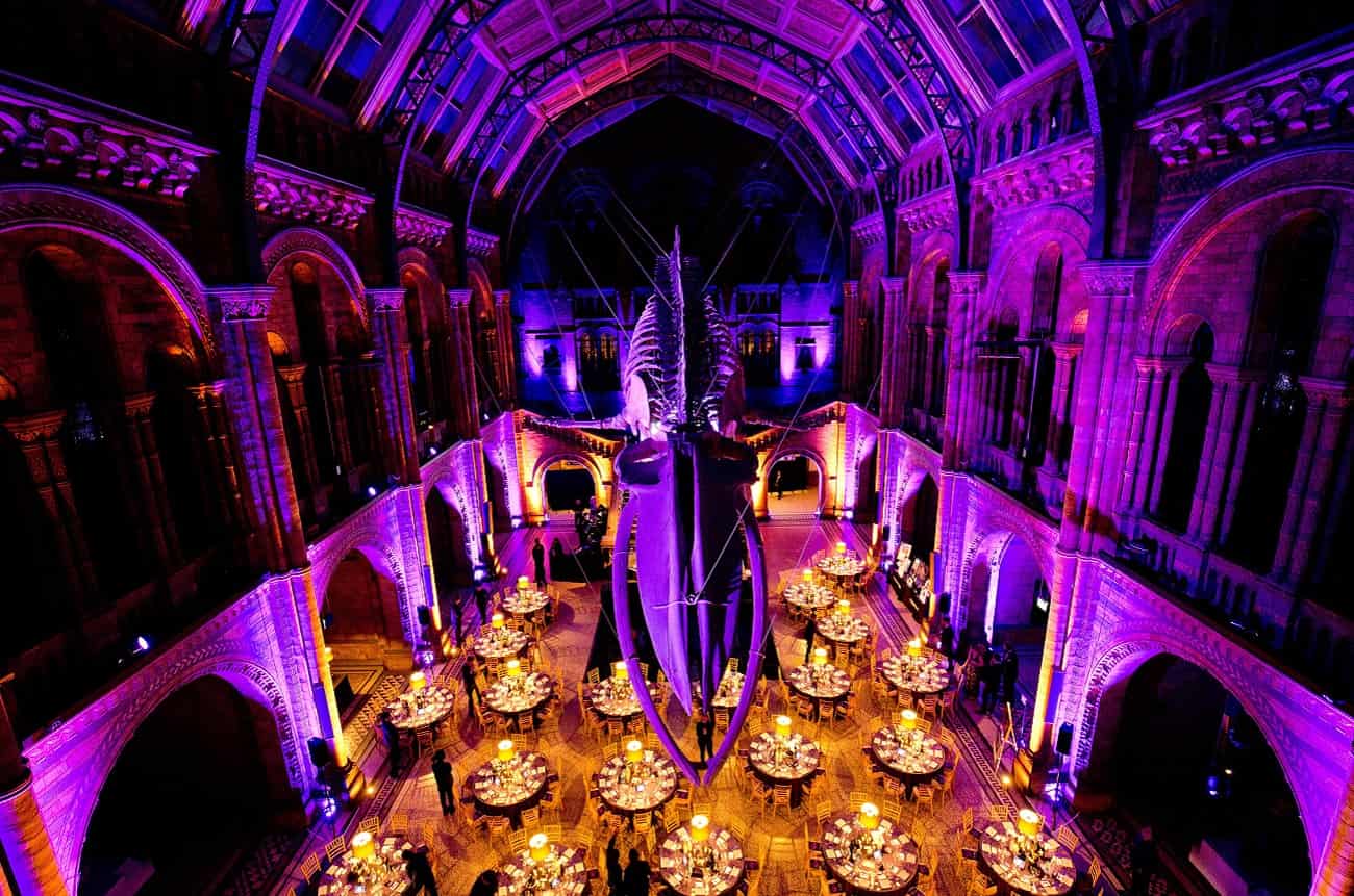 benevolent ball 2019