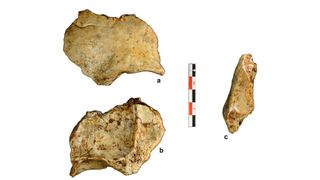 Three different views of the skull fragment from Tam Pà Ling in Laos next to a scale bar, for reference.