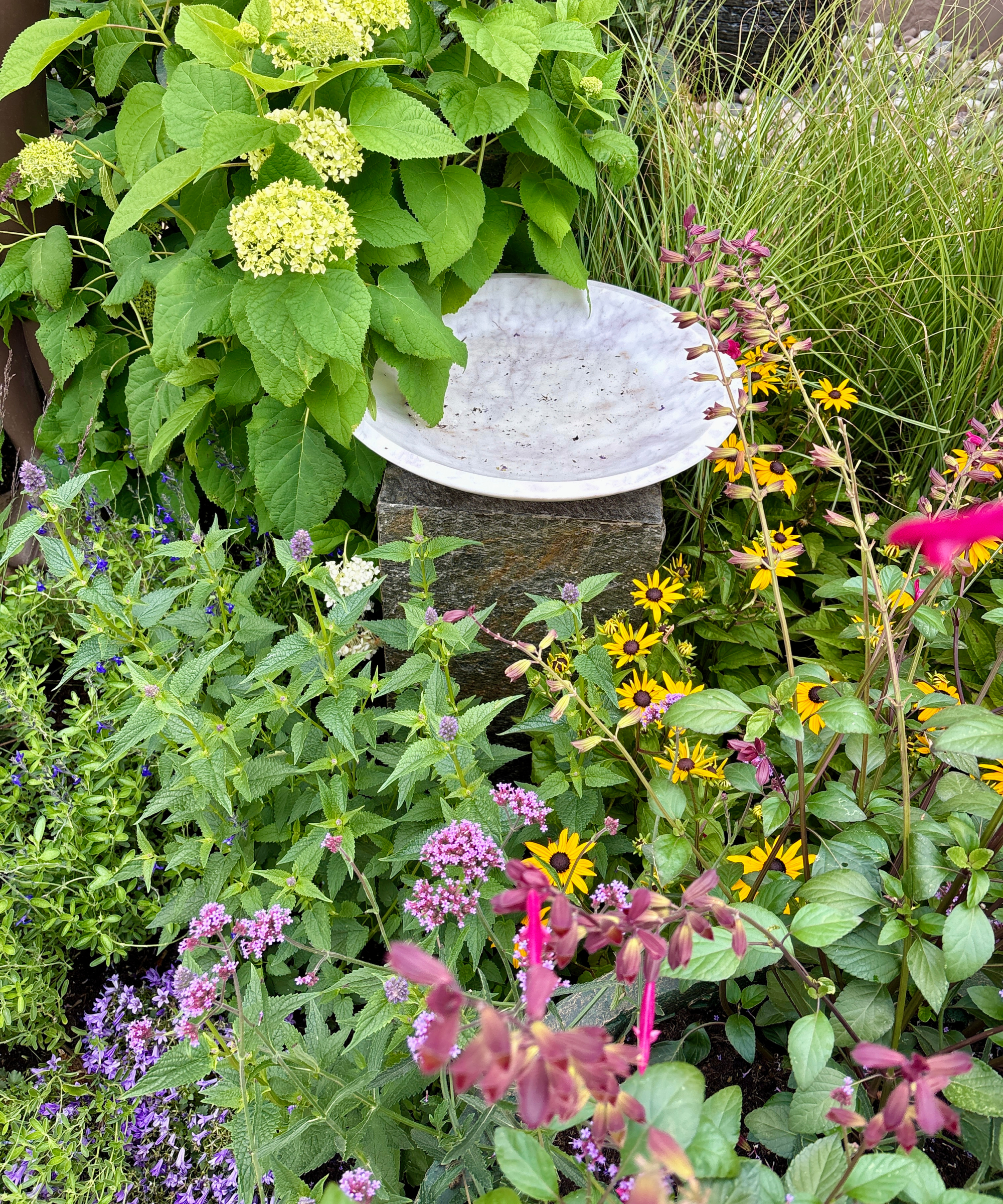 DIY bird bath in a border