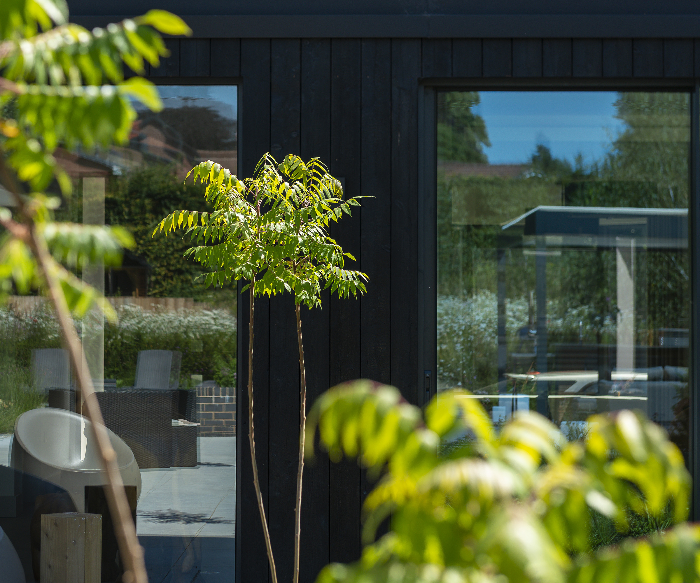 Tropical fern/palm plants growing in a garden in front of an extension