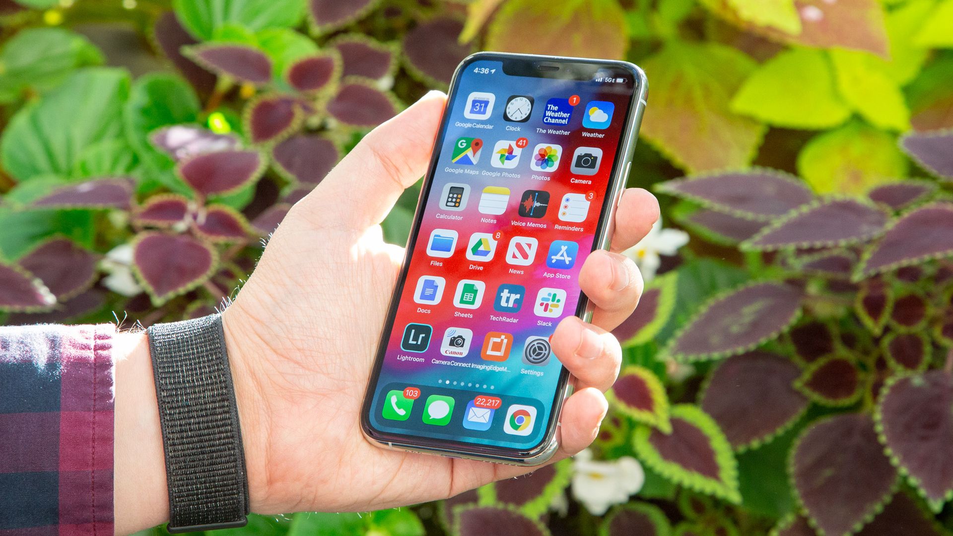 It looks like the iPhone 11 will be discontinued next September here