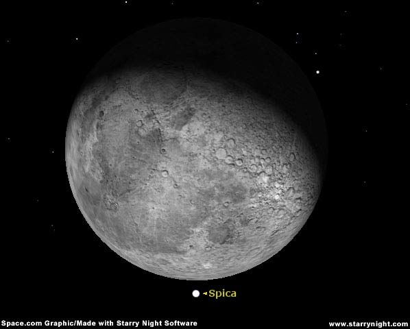 Moon Mugging: Bright Star Blocked by Lunar Lout