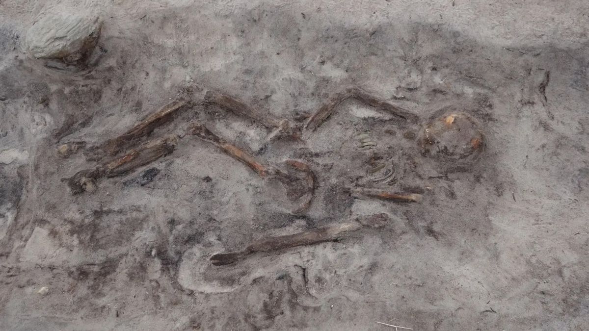 Viking Age woman was buried with her dog in an elaborate 'boat grave,' excavations reveal