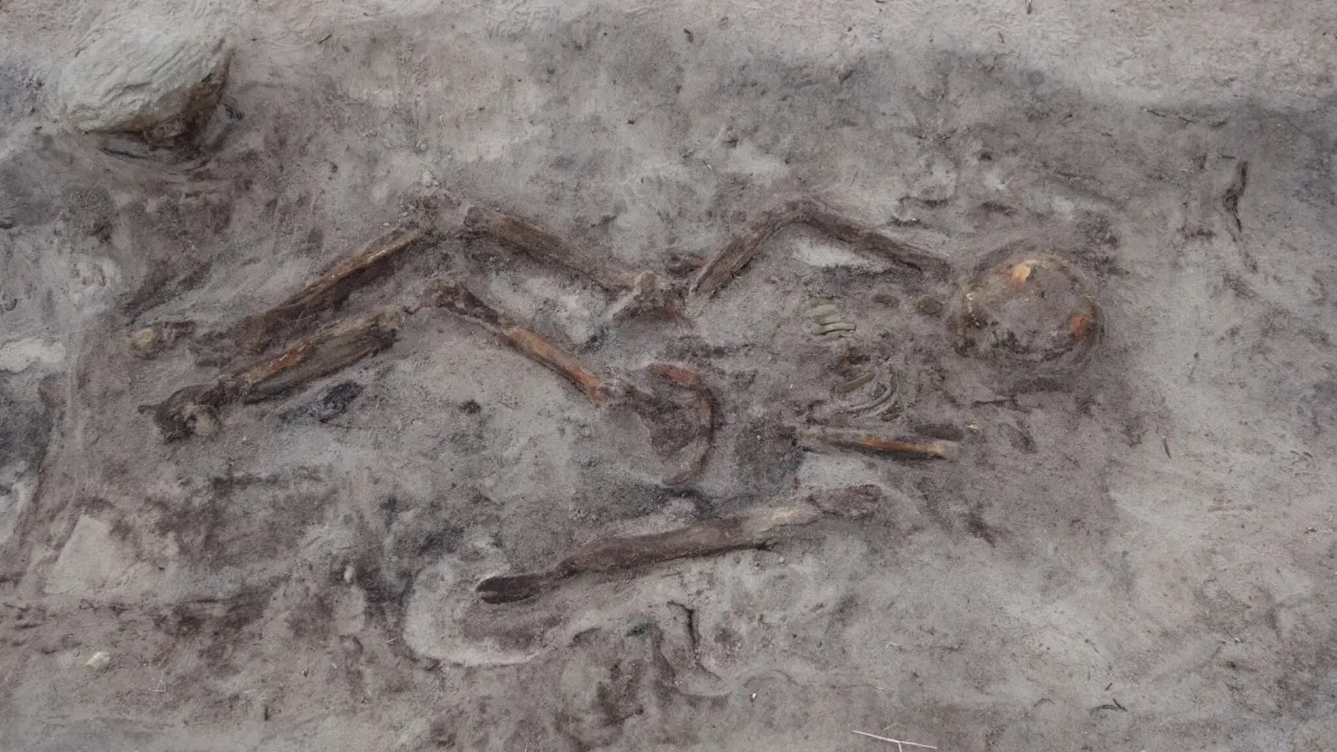 a human skeleton in a grave