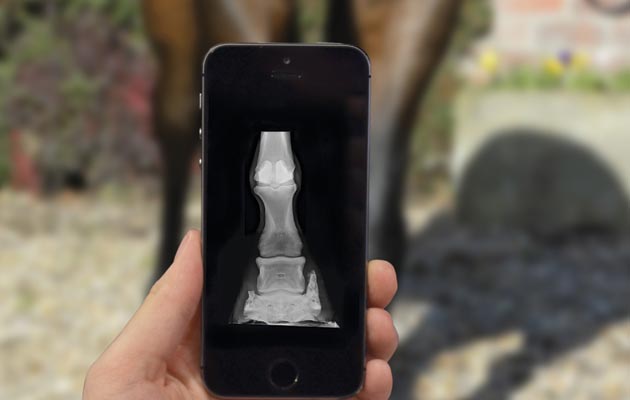 smartphones transform veterinary training
