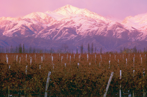 Catena Zapata&amp;rsquo;s Adrianna vineyard at Gualtallary, in the foothills of the Andes
