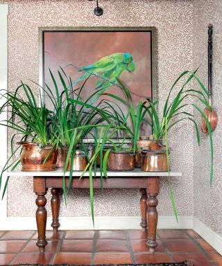 entrance hall with wooden console table with plants in copper kitchenware, brown patterned wallpaper and parrot painting