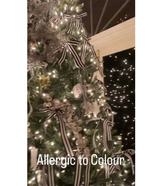 Catherine Zeta Jones' Christmas tree