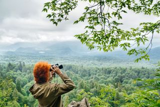 woman with binoculars looks into the depths of the forest.