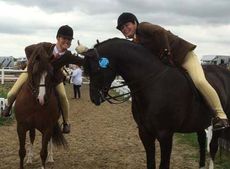 Chloe Chubb celebrates qualifying for HOYS with Moelview Chieftain