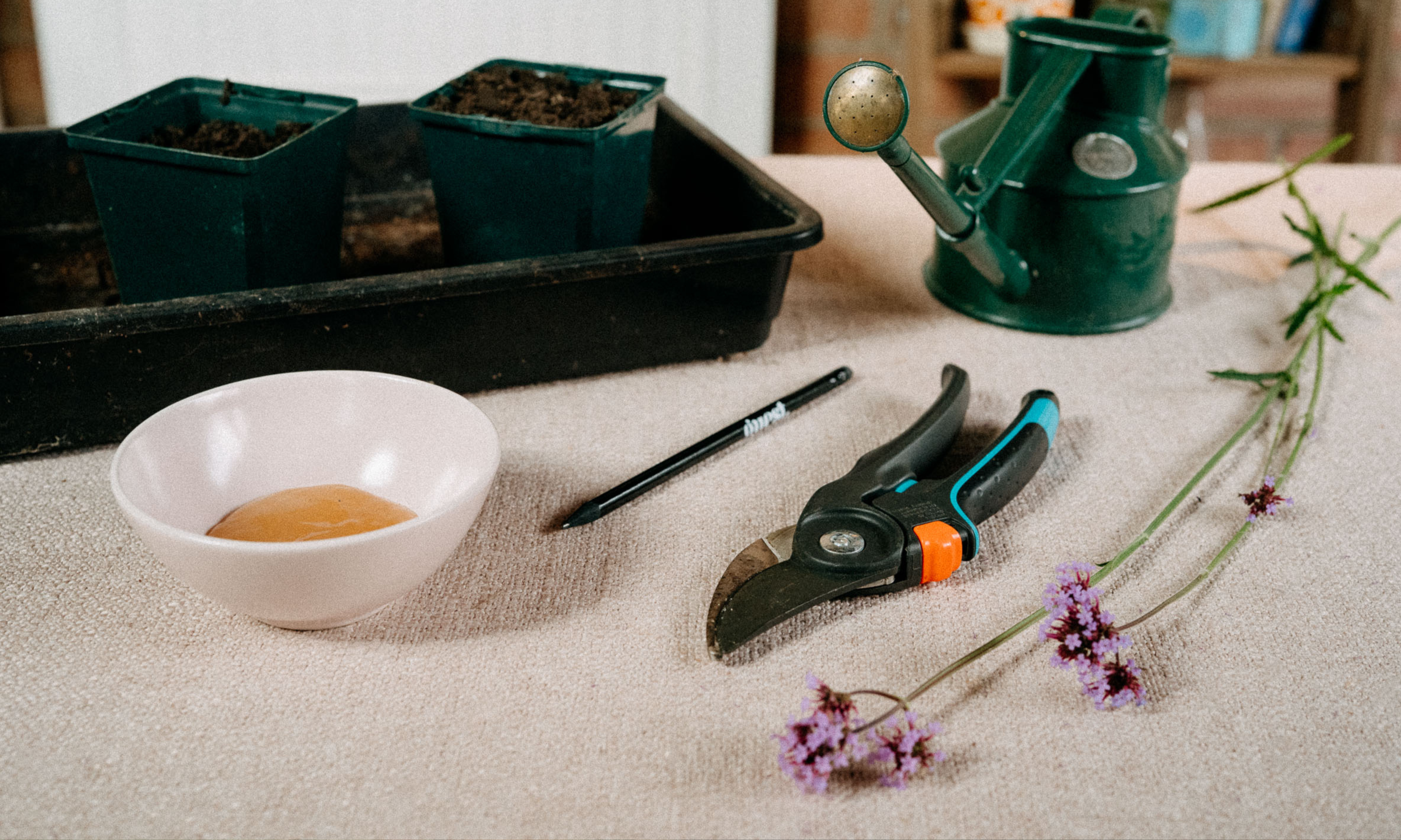 Table with verbena cuttings, pruners, pencil, pink bowl, pots and watering can