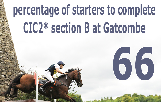Gatcombe Horse Trials - Festival of Eventing 8th - 9th August 2015