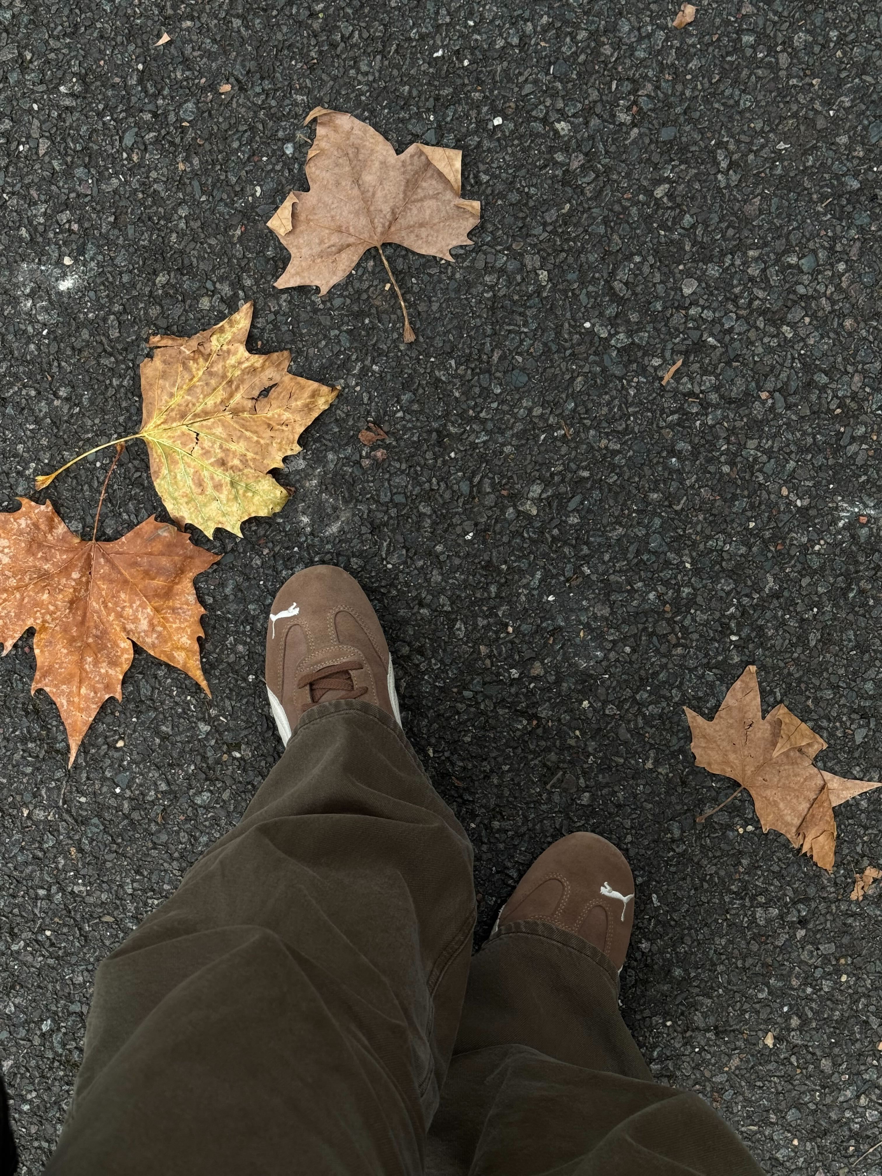 Acting fashion editor, Sophie Watson wears a Adidas Pumaspeedcat.