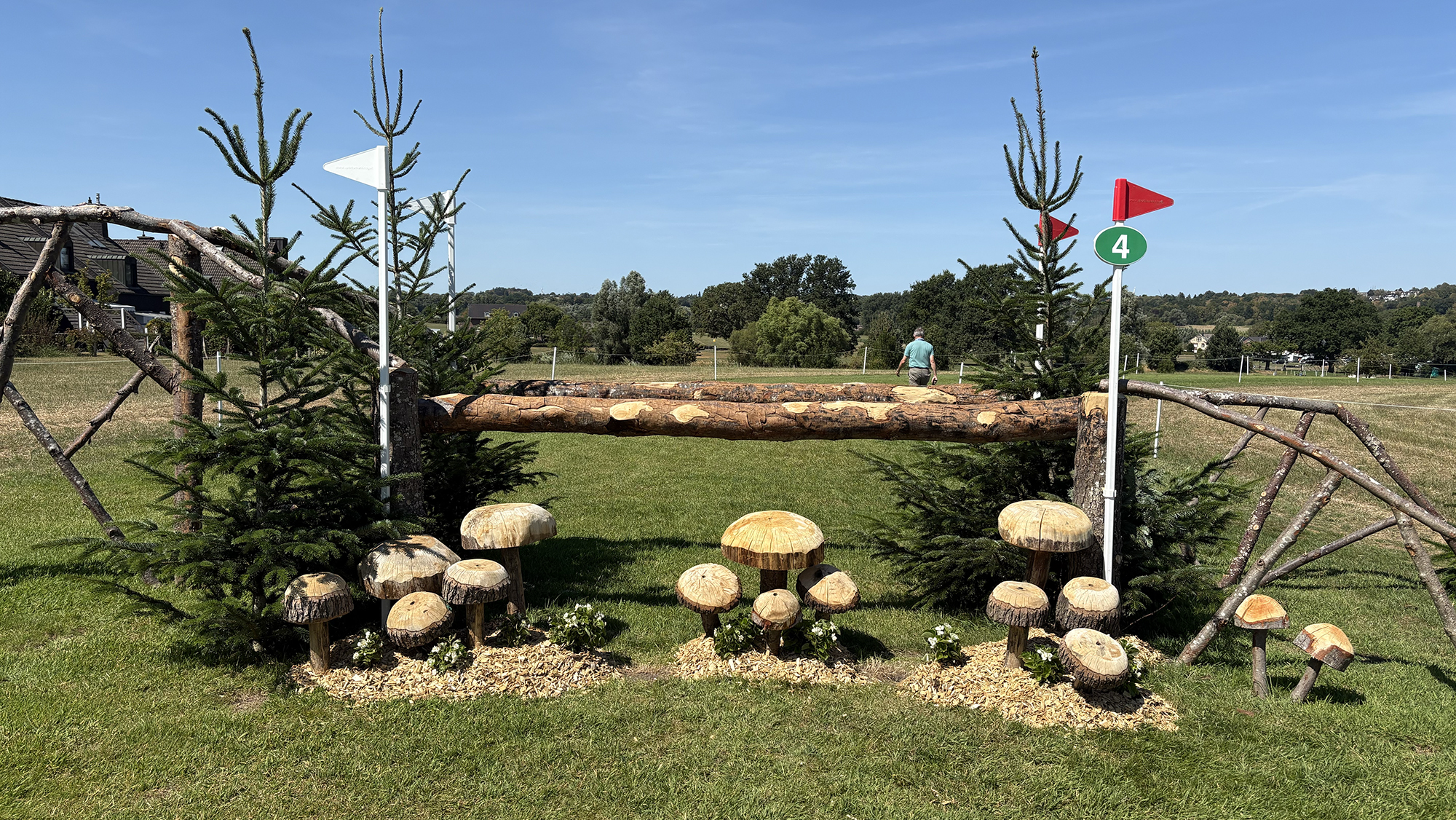An oxer fence with thin rails and decorative mushrooms below it, on the cross-country course at the Aachen eventing World Championships