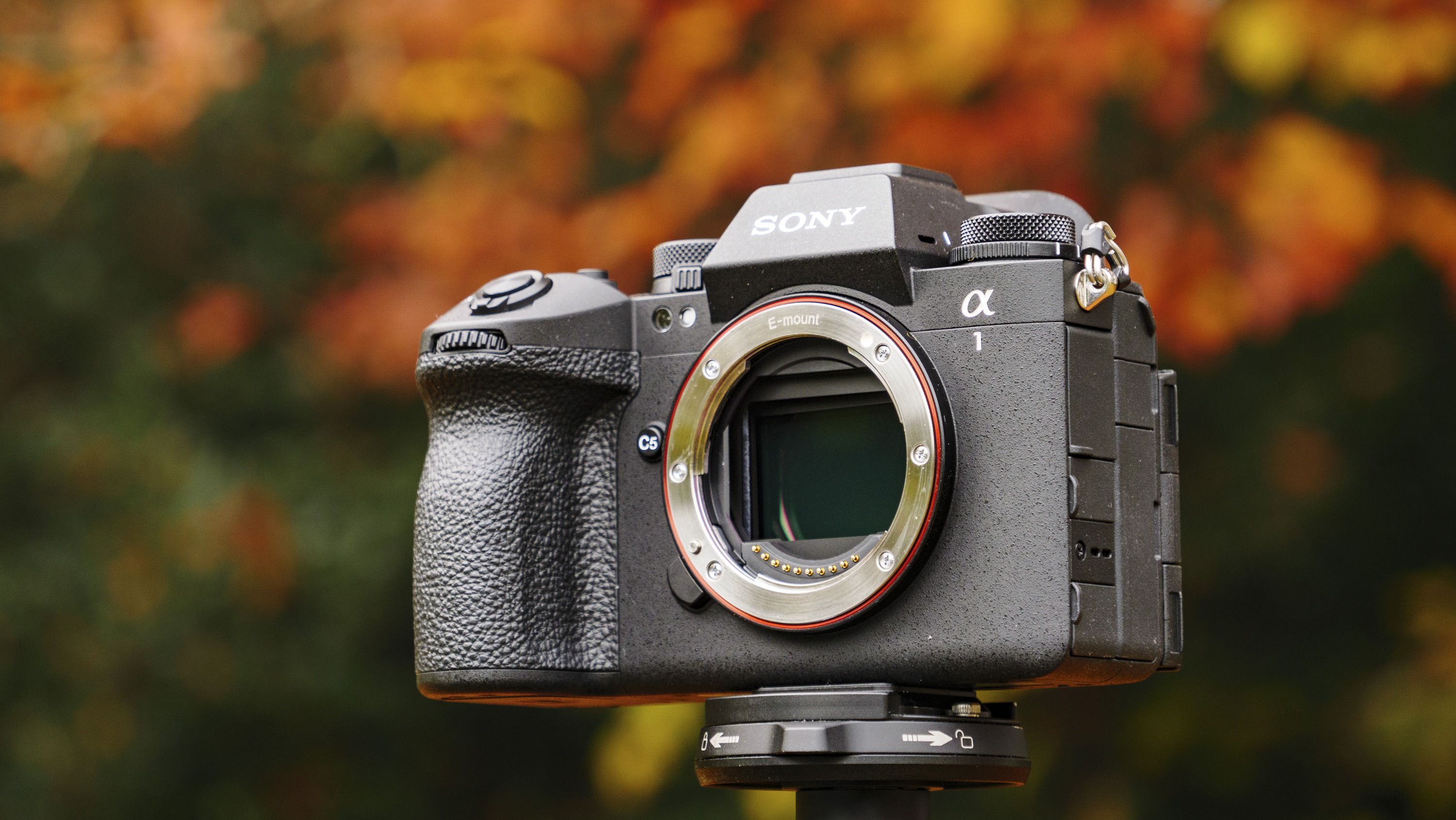 Sony A1 II mirrorless camera outdoors on a tripod with autumn leaves background