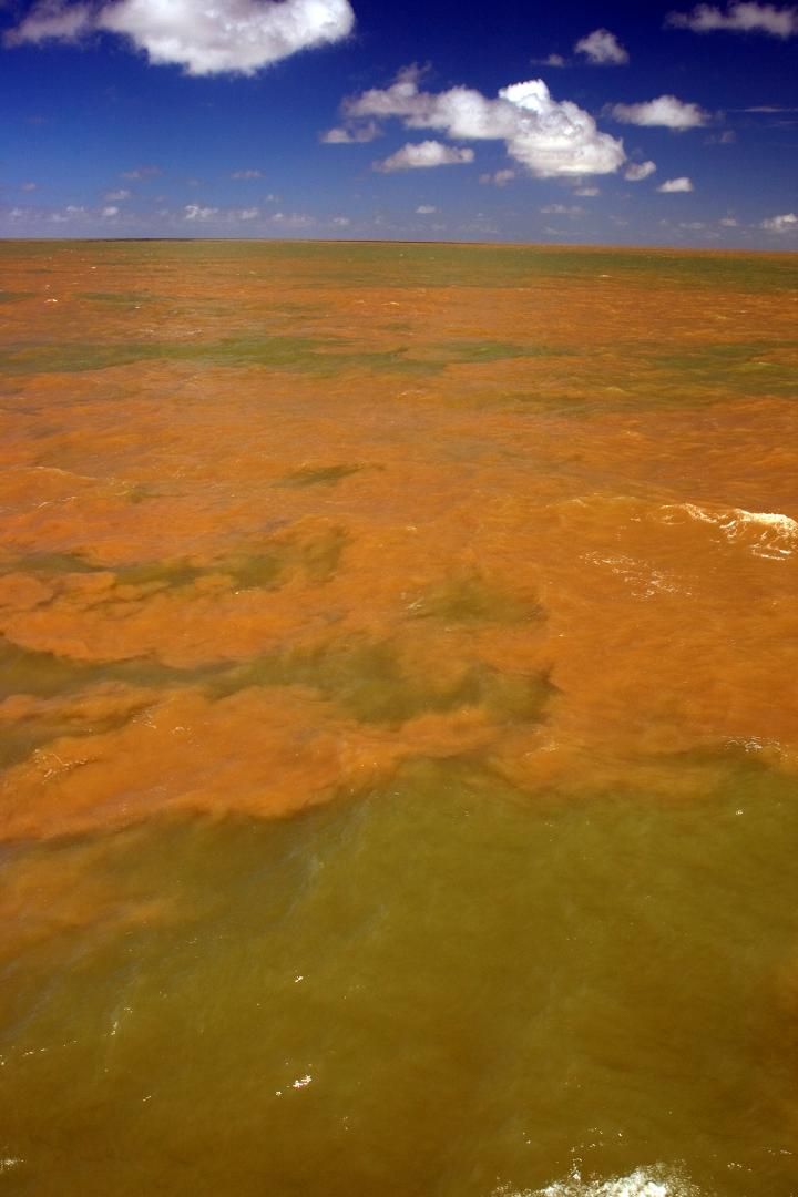 amazon river plume