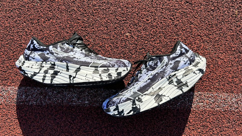 Best Carbon Plate Running Shoes 2023 Coach