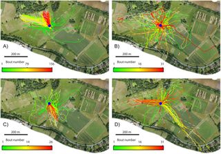 Each panel represents the lifetime activity of a single bee, with the nest shown with a blue circle. Each individual flight is shown in a different color: earliest flights (green), followed by later flights (yellow), and the last flights (red).