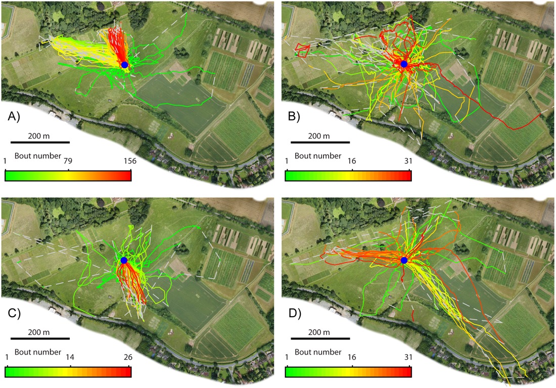 Each panel represents the lifetime activity of a single bee, with the nest shown with a blue circle. Each individual flight is shown in a different color: earliest flights (green), followed by later flights (yellow), and the last flights (red).