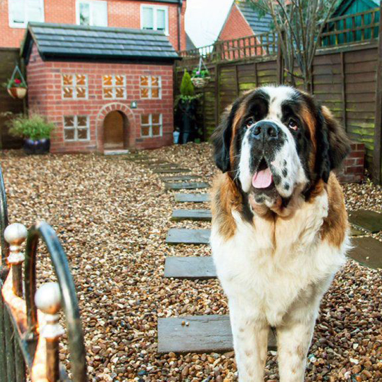 dog house with sloping roof and red wall and white with brown dog