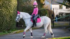matchy-matchy sets for ponies