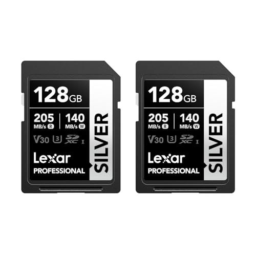  Professional Silver 128GB 2-Pack