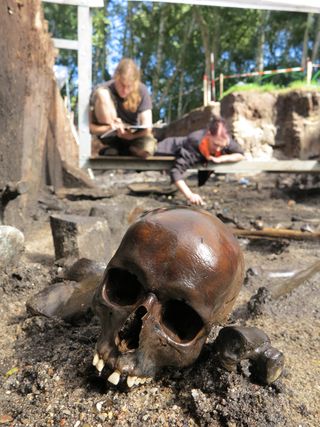 Warrior skull, bone desecration