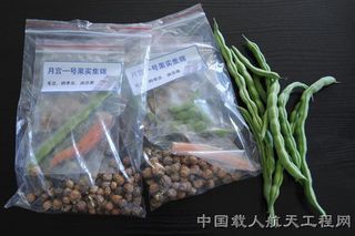 No moon pies grown in China's Lunar Palace 1. Shown here are plants cultivated within the test facility