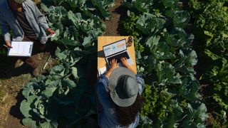 Top-down image of Apple MacBook Pro M4 being used outside in a vegetable patch