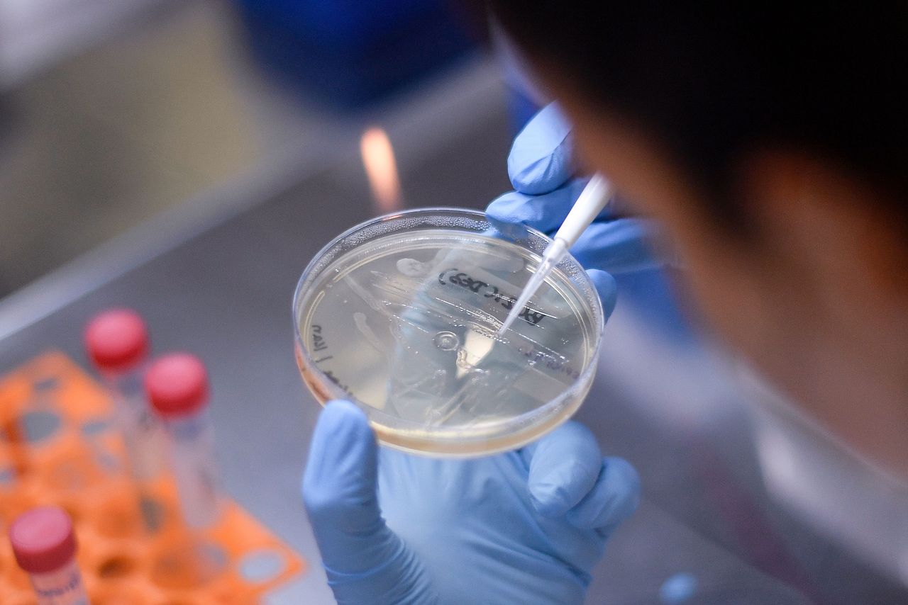 coronavirus testing trace.