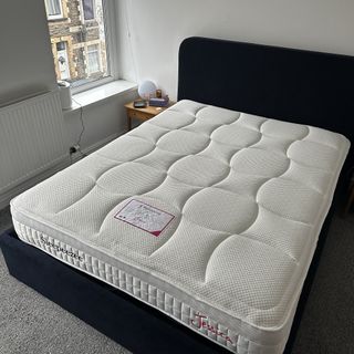 where can you buy the sleepeezee jessca 1800