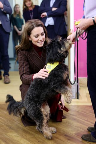 Kate Middleton wearing a plaid coat petting a therapy dog