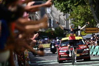 Tim Wellens wins stage 15 of the Tour de France 2025.